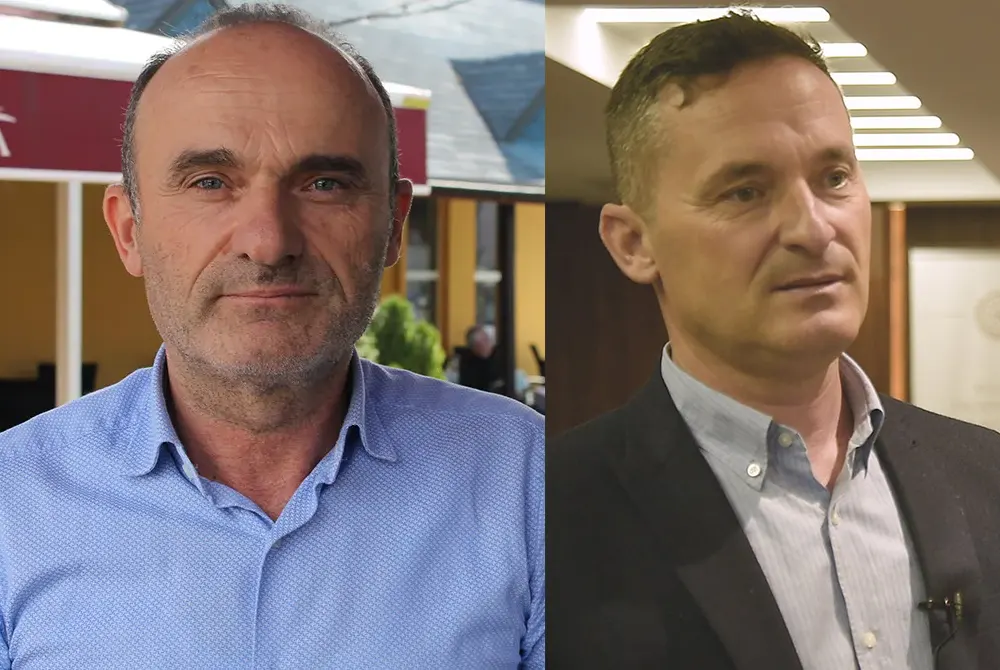 Vëllezërit Borovci